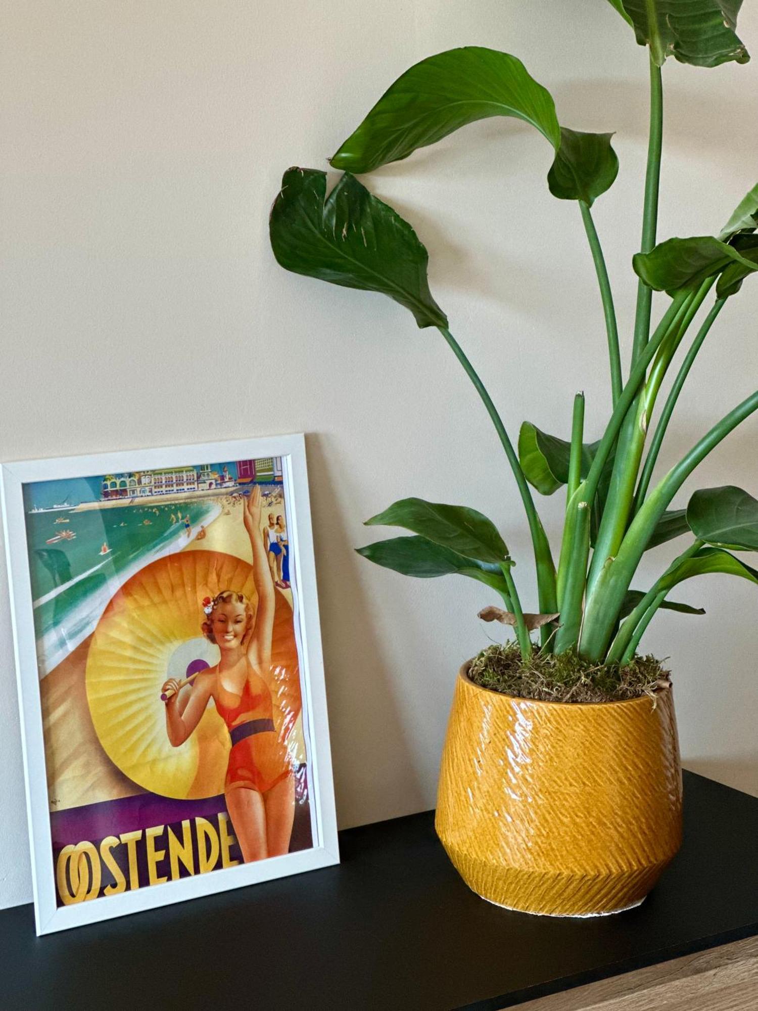 Studio By Aimee - 20M From The Beach & In City Centre! Ostende Exterior foto